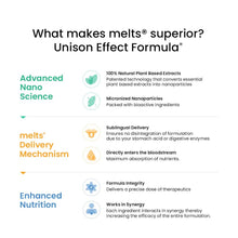 Load image into Gallery viewer, Active All Day Pack