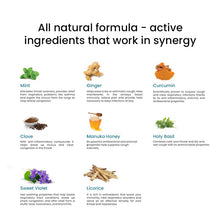 Load image into Gallery viewer, Active All Day Pack