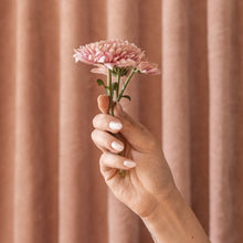 Load image into Gallery viewer, Nail Polish: Speakeasy