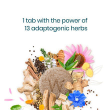 Load image into Gallery viewer, Herbal Immunity Kit
